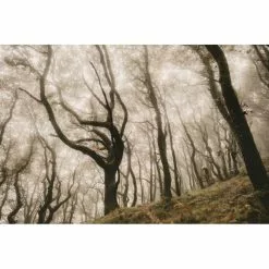 Goodyear Newton Enduro Tubeless Rear MTB Tyre Black 2.4" 29 -Vitus Salgsbutik Goodyear Newton Enduro Tubeless Rear MTB Tyre Tyres Black GR 014 61 584 V004 R 4