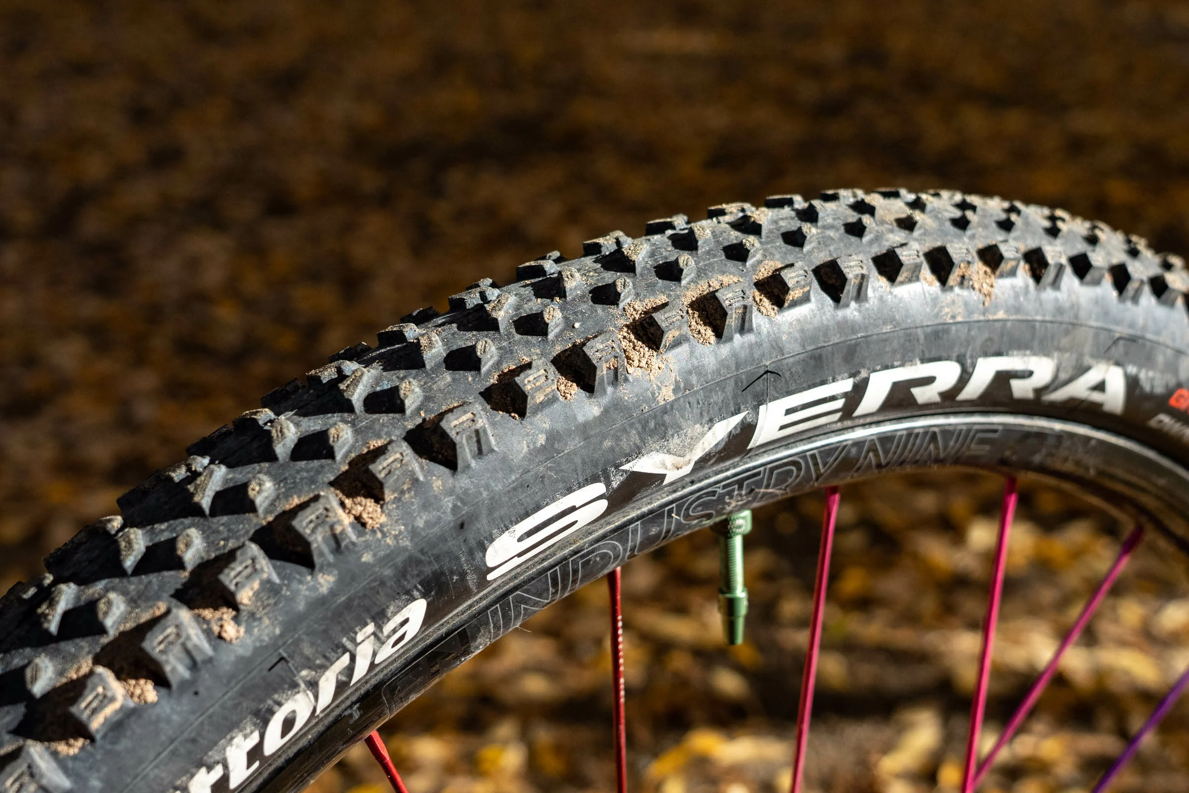 Vitus Salgsbutik -Vitus Salgsbutik Vittoria Syerra Review 3